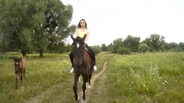 Χαριτωμένο κορίτσι ιππασία καβάλλα όμορφο καφετί άλογο — Αρχείο Βίντεο
