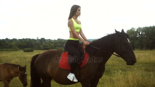 Hezká dívka na koni rozkročmo Krásný hnědý kůň — Stock video