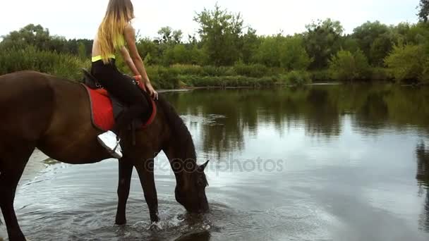 Γοητευτική νεαρή κοπέλα κάθεται Καβάλα σε ένα άλογο που πίνει νερό — Αρχείο Βίντεο