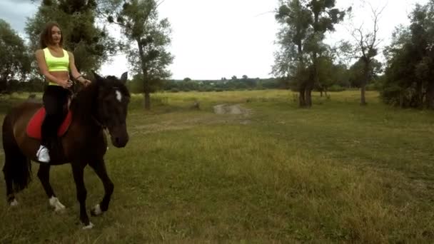 Ung söt tjej rider på hästryggen i en cirkel — Stockvideo