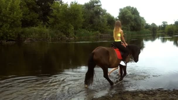 Athletic girl riding her horse to water — Stock Video