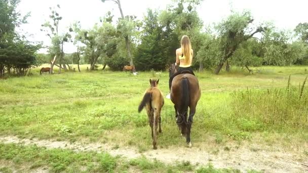 Ung smal rider på hästryggen kommer nära ett föl — Stockvideo