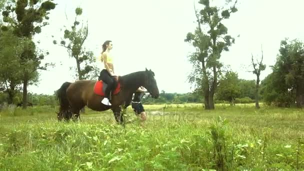 Flaco chica salta en un grande marrón caballo en la naturaleza — Vídeo de stock