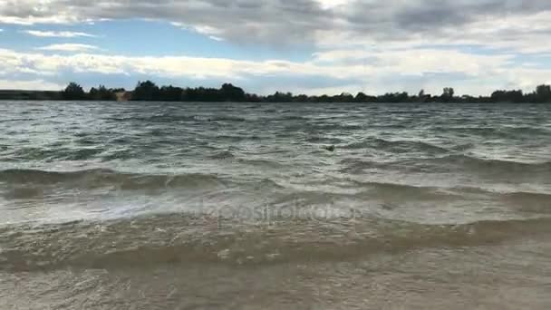 風クローズ アップで湖の岸に青い澄んだ水 — ストック動画