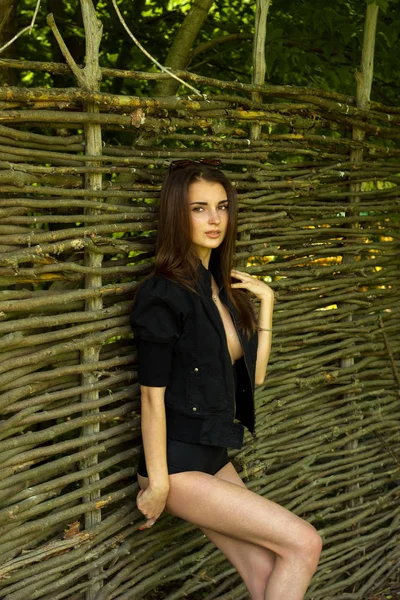 Nabídka dívka pózy poblíž dřevěný plot — Stock fotografie