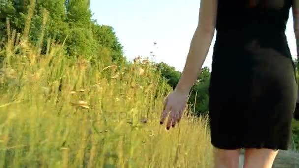 Slim girl in black dress goes on the field and holds the ball on the grass — Stock Video