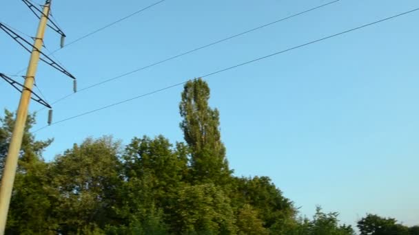 Céu azul claro com árvores verdes e fios — Vídeo de Stock