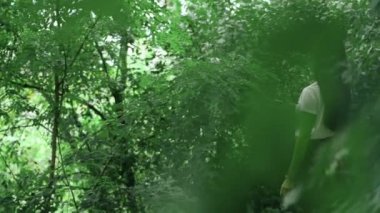 ormandaki esmer standları