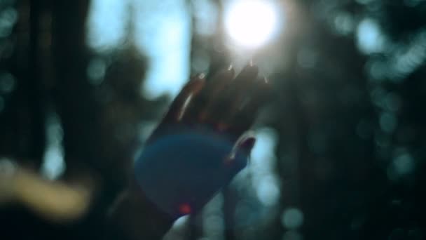 Menina fecha os raios do sol com uma palma — Vídeo de Stock