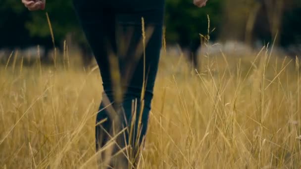 Chica de negro camina por un campo de trigo — Vídeos de Stock