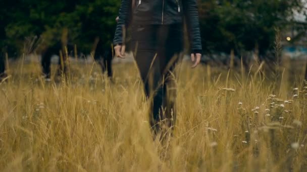 Женщина в черном ходит по полю из пшеницы — стоковое видео