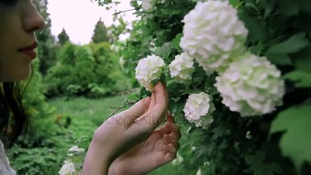Junges brünettes Mädchen berührt blühende weiße Blumen — Stockvideo