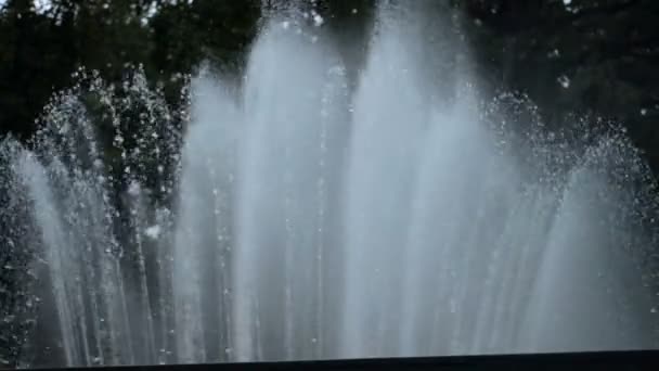 Piękna fontanna w parku z bliska — Wideo stockowe