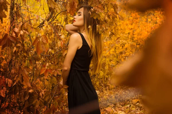 Fiatal, érzéki lány, csukott szemmel, fekete ruhában pózol a golden forest — Stock Fotó
