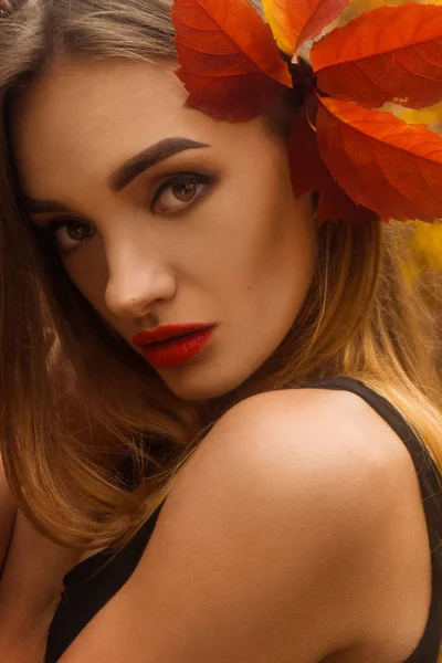Retrato de outono de menina bonita com lábios vermelhos ao ar livre — Fotografia de Stock