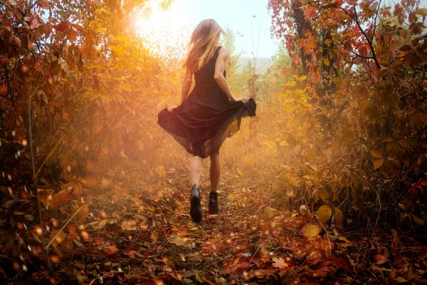 有趣的女孩，穿着黑色的连衣裙，在金色的秋天森林中运行 — 图库照片