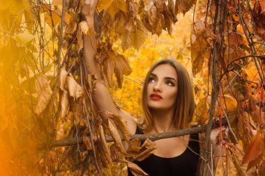 tatlı genç kız ile yapmak altın sonbahar ormanda poz