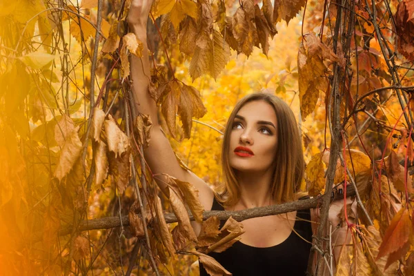 Cutie jovem com maquiagem posando na floresta dourada de outono — Fotografia de Stock