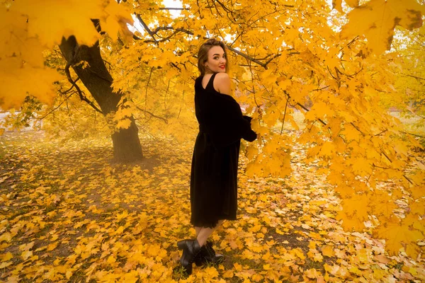 Dziewczyna w czarnym płaszczu, na zewnątrz w jesieni pozostawia — Zdjęcie stockowe