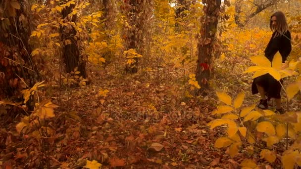 Mädchen im schwarzen Mantel spaziert durch goldenen Herbstwald — Stockvideo