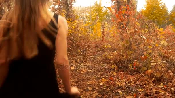 Chica en vestido negro camina en el bosque de otoño de oro — Vídeos de Stock