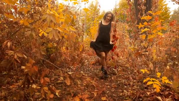 Дівчина в чорній сукні ходить на золотому осінньому лісі — стокове відео