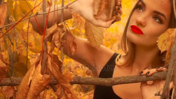 Mooi jong meisje in zwarte jurk in gouden herfst bos — Stockvideo