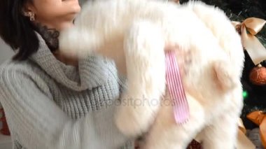 Oyuncak ayı Noel ağacı evde yakınındaki büyüleyici esmer çalış