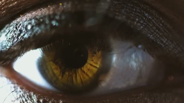 Macro Beaux Yeux Marron Jeune Femme — Video