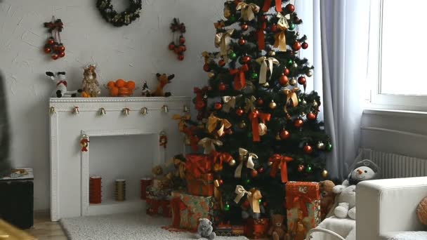 Νεαρή Γυναίκα Κοντά Μαλλιά Βάζει Κάτω Από Χριστουγεννιάτικο Δέντρο Δώρο — Αρχείο Βίντεο