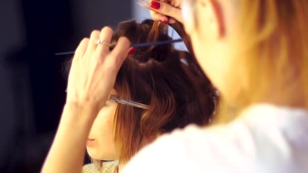 Fiatal stylist lány frizuráját tesz egy hölgy — Stock videók