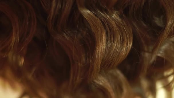Junge Friseurin machen Frisur mit schöner Frau — Stockvideo