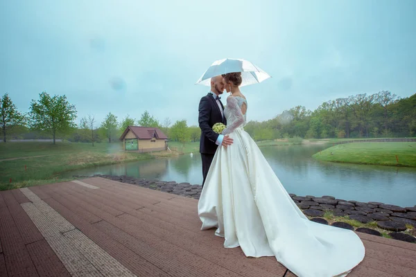 美しいカップルの結婚式 — ストック写真