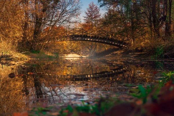 Schöne Herbstlandschaft mit Fluss und goldenem Wald — Stockfoto