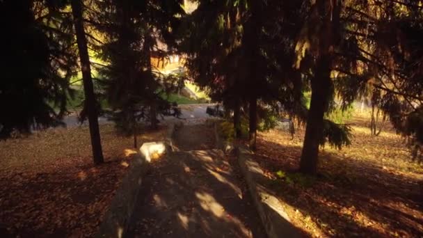 Vacker natur gyllene höst tid — Stockvideo