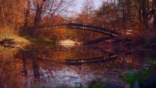 Schöne Natur goldene Herbstzeit — Stockvideo