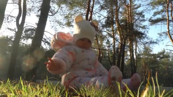 Весела маленька дівчинка грає з конусами в лісі — стокове відео