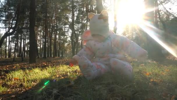 Весела маленька дівчинка грає з конусами в лісі — стокове відео