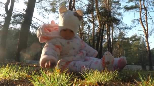 Fröhliches kleines Mädchen spielt mit Zapfen im Wald — Stockvideo