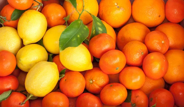 Cytrynowy owoce — Zdjęcie stockowe
