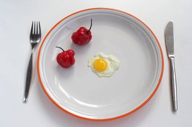 Tabaktaki diyet sembolik repraksiyonu