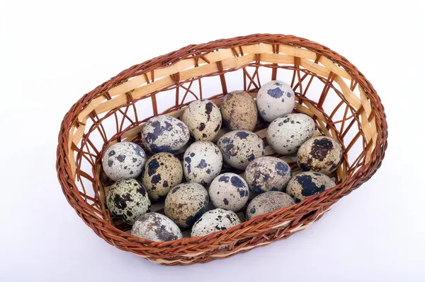 Çok küçük bıldırcın yumurtaları. — Stok fotoğraf