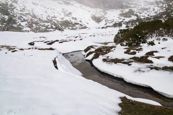 Arroyo en un paisaje nevado —  Fotos de Stock