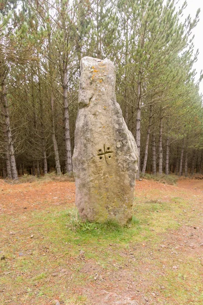 Bardzo starożytny menhir z napisami — Zdjęcie stockowe