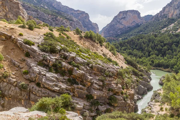 Río por cañón rocoso —  Fotos de Stock