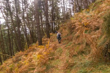 Sonbahar ormanındaki yürüyüşçüler