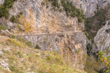 Bir dağın eteklerindeki yürüyüşçüler