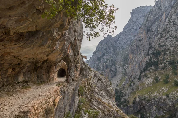 Vía del túnel en el cañón del río Cares —  Fotos de Stock