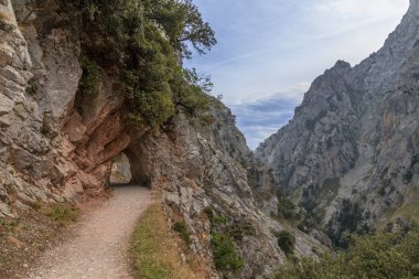 Dağ yolu ve küçük tünel