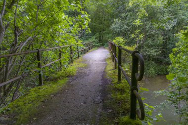Derin bir ormanda gizlenmiş bir köprü.